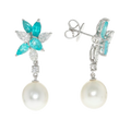 Paraiba Tourmaline Earrings