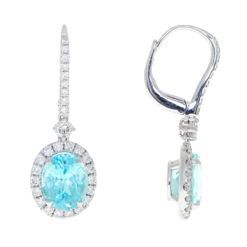 Paraiba Tourmaline Earrings