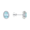 Paraiba Tourmaline Earrings- 	E2512364 GJ9164E