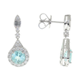 Paraiba Tourmaline Earrings- CG0875E - E2414771